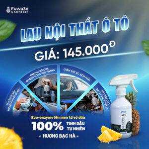 Lau nội thất ô tô Fuwa3e